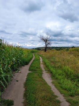 A picturesque country road in the village.