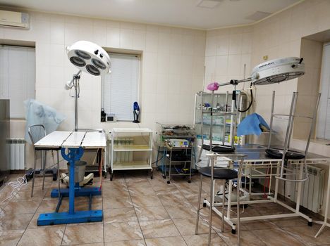 Operating room in a veterinary clinic. Operating table for animals.