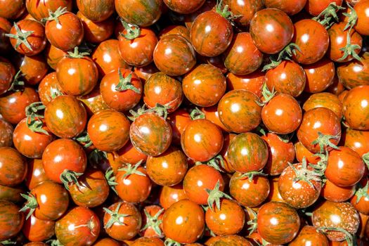 freshly picked red tomatoes in a crate.