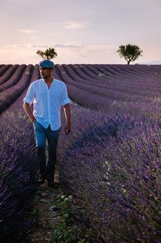 Provence, Lavender field France, Valensole Plateau, colorful field of Lavender Valensole Plateau, Provence, Southern France. Lavender field. Europe. Couple men and woman on vacation at the provence lavender fields,