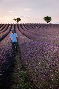 Provence, Lavender field France, Valensole Plateau, colorful field of Lavender Valensole Plateau, Provence, Southern France. Lavender field. Europe. Couple men and woman on vacation at the provence lavender fields,