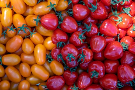 background from red and yellow ripe tomatoes grown without chemistry.