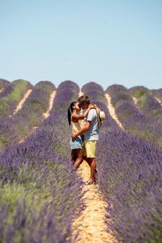 Pink purple lavender fields blooming in the Provence France. Europe