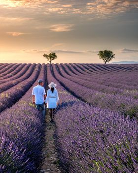 Provence, Lavender field France, Valensole Plateau, colorful field of Lavender Valensole Plateau, Provence, Southern France. Lavender field. Europe. Couple men and woman on vacation at the provence lavender fields,