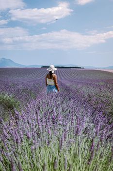 Provence, Lavender field France, Valensole Plateau, colorful field of Lavender Valensole Plateau, Provence, Southern France. Lavender field. Europe. woman on vacation at the provence lavender fields,
