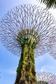 supertree Singapore gardens by the bay, Singapore, Oct 12, 2018