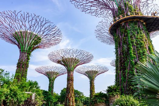 supertree Singapore gardens by the bay, Singapore, Oct 12, 2018