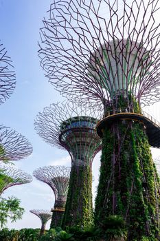 supertree Singapore gardens by the bay, Singapore, Oct 12, 2018