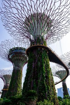 supertree Singapore gardens by the bay, Singapore, Oct 12, 2018