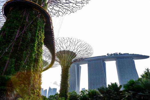 supertree Singapore gardens by the bay, Singapore, Oct 12, 2018