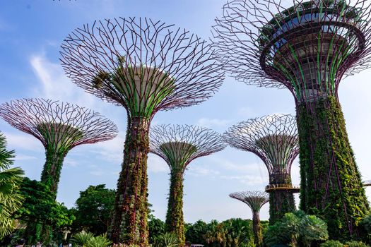 supertree Singapore gardens by the bay, Singapore, Oct 12, 2018