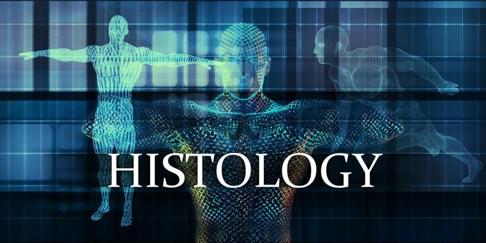 Histology Medicine Study as Medical Concept