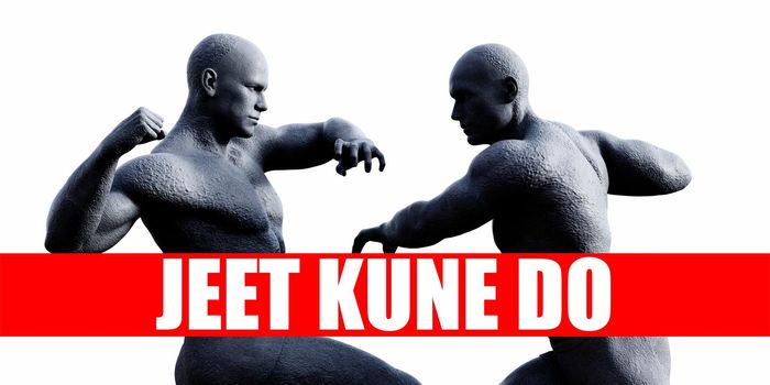 Jeet kune do Class Combat Fighting Sports Background