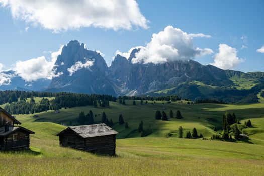 Alpe di Siusi - Seiser Alm with Sassolungo - Langkofel mountain group in background at sunset. Yellow spring flowers and wooden chalets in Dolomites, Trentino Alto Adige, South Tyrol, Italy, Europe. Summer weather with dark clouds rain