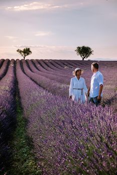 Provence, Lavender field France, Valensole Plateau, colorful field of Lavender Valensole Plateau, Provence, Southern France. Lavender field. Europe. Couple men and woman on vacation at the provence lavender fields,