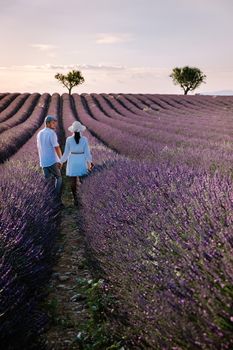 Provence, Lavender field France, Valensole Plateau, colorful field of Lavender Valensole Plateau, Provence, Southern France. Lavender field. Europe. Couple men and woman on vacation at the provence lavender fields,