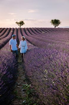 Provence, Lavender field France, Valensole Plateau, colorful field of Lavender Valensole Plateau, Provence, Southern France. Lavender field. Europe. Couple men and woman on vacation at the provence lavender fields,