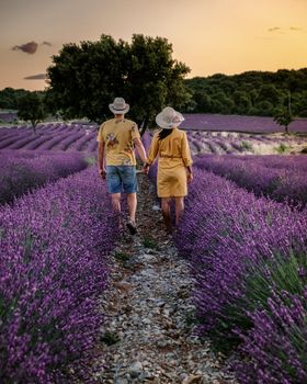 couple men and woman watching sunset in lavender fields in the south of France, Ardeche lavender fields iduring sunset, Lavender fields in Ardeche in southeast France.Europe