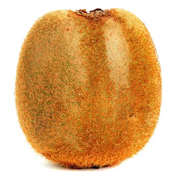 one ugly kiwi mutant fruit isolated on white background, uncut, standing vertically