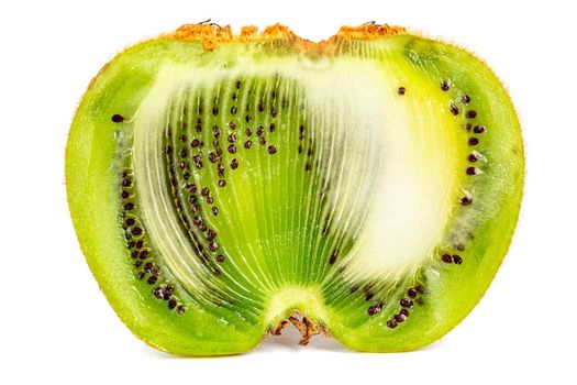 one ugly kiwi mutant fruit isolated on white background, cutted in half, standing vertically
