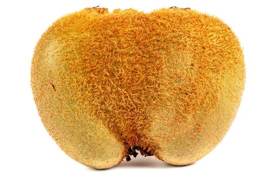 one ugly kiwi mutant fruit isolated on white background, unopened, standing vertically