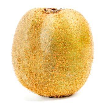 one ugly kiwi mutant fruit isolated on white background, uncut, standing vertically