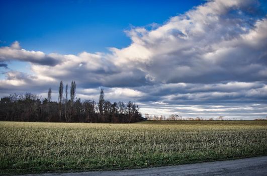 Cloudy sky and calm landscape
