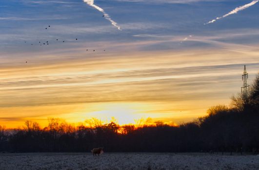 Sunrise on a cold winter day at a ranch