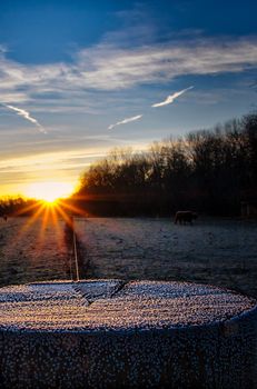 Sunrise on a cold winter day at a ranch