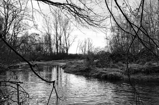 Frosty river with sunrise cold day black and white