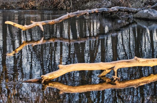 Frosty river with sunrise cold day