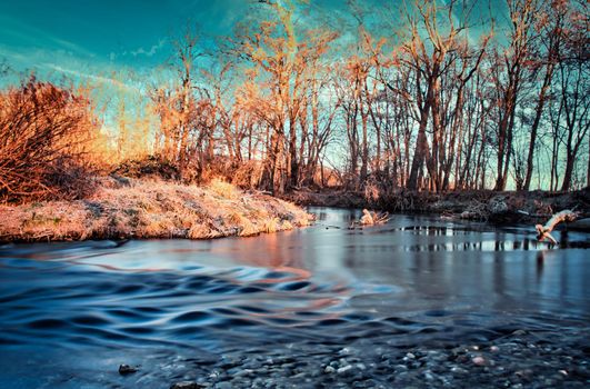 Frosty river with sunrise cold day