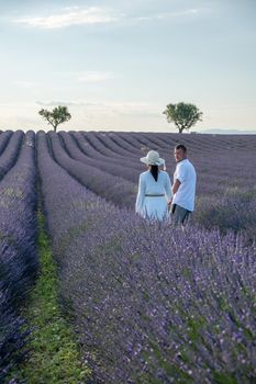 Provence, Lavender field France, Valensole Plateau, colorful field of Lavender Valensole Plateau, Provence, Southern France. Lavender field. Europe. Couple men and woman on vacation at the provence lavender fields,