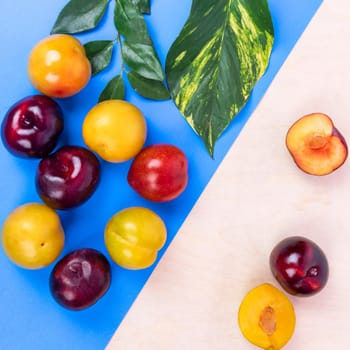 Colorful plum fruits on the colorful background top view