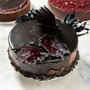 Beautiful chocolate cake on the white background, close up