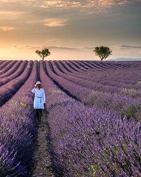 Provence, Lavender field France, Valensole Plateau, colorful field of Lavender Valensole Plateau, Provence, Southern France. Lavender field. Europe. woman on vacation at the provence lavender fields,