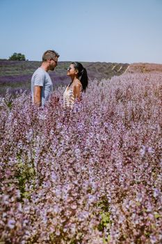 Provence, Lavender field France, Valensole Plateau, colorful field of Lavender Valensole Plateau, Provence, Southern France. Lavender field. Europe. Couple men and woman on vacation at the provence lavender fields,