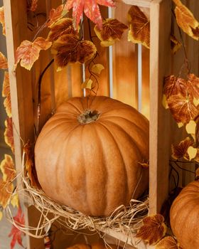 Halloween Pumpkins in the wooden crates with candles, straw, autumn leaves