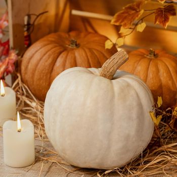 White Halloween Pumpkins in the wooden crates with candles, straw, autumn leaves