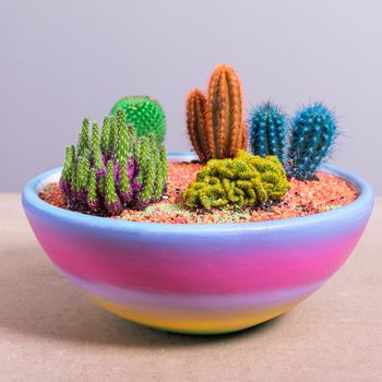 Terrarium, sand, rock, succulent, painted cactus in the rainbow colorful pot