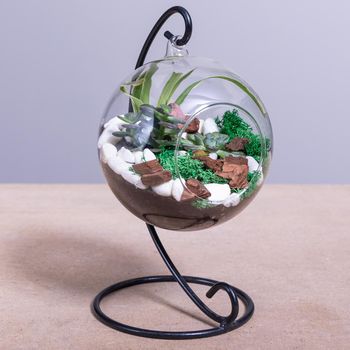 Terrarium, sand, rock, succulent, cactus in the rounded glass