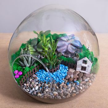 Terrarium, sand, rock, decor house, succulent, cactus in the rounded glass