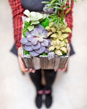 Woman holding wooden terrarium with succulent, cactus, flower, rock, sand inside