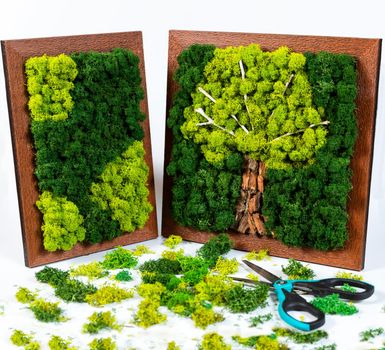 Natural tree shaped moss for wall with scissors, tools