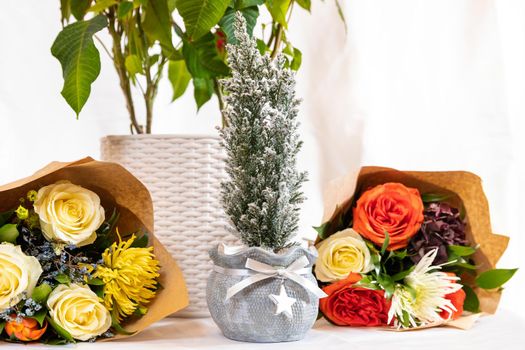 Plant and beautiful flower bouquet with white background