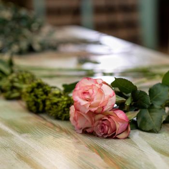 SIngle pink flower on the table