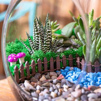 Terrarium, sand, rock, succulent, cactus, decor small house in the glass