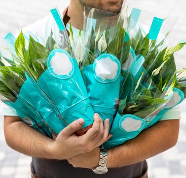 Man holding Peace lily, Spathiphyllum, Women's happiness