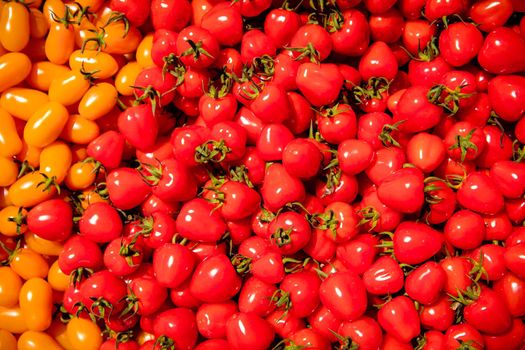 background from red and yellow ripe tomatoes grown without chemistry.