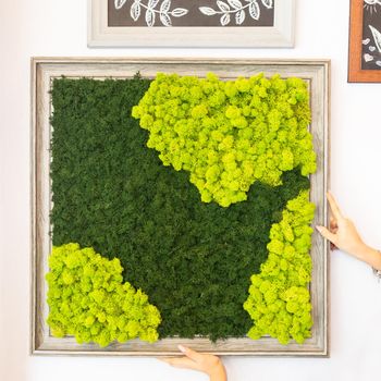 Natural shaped moss for wall